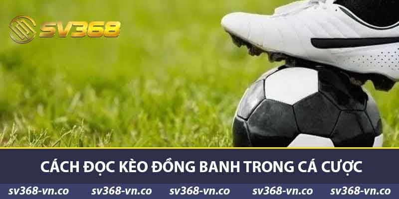 Cách đọc kèo đồng banh trong cá cược