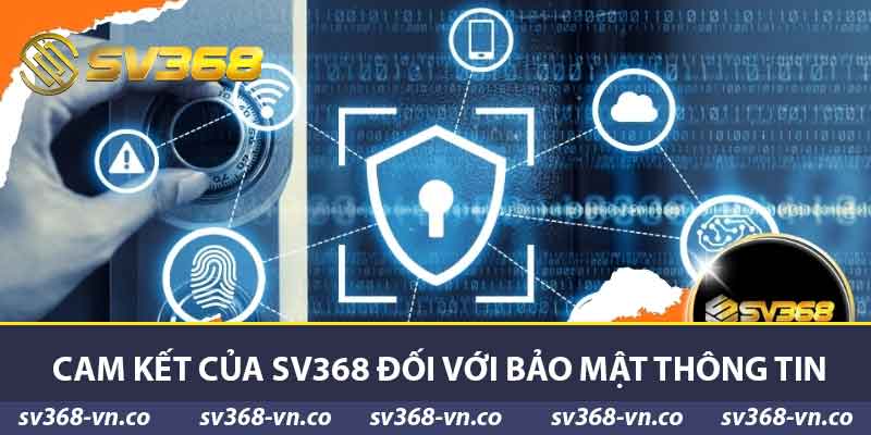 Cam kết của sv368 đối với bảo mật thông tin