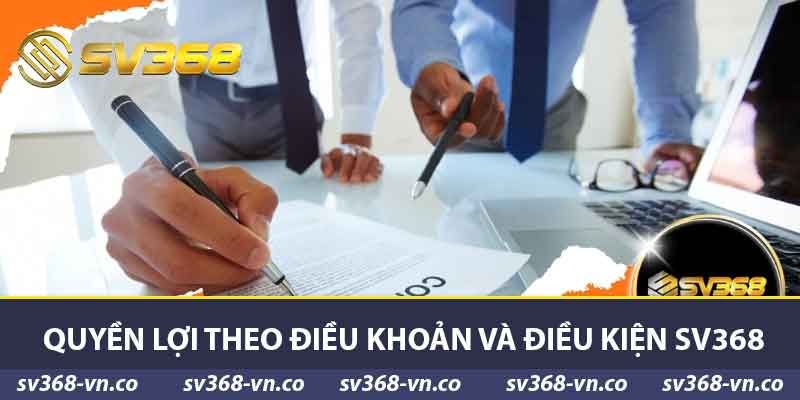 Quyền lợi theo điều khoản và điều kiện SV368